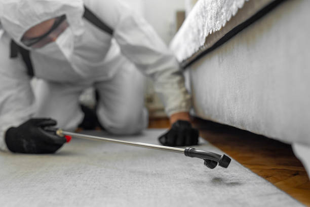 Professional Bed Bug Control technician working in Hale County County, AL